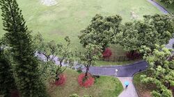 Blk 755 Yishun Street 72 (Yishun), HDB 4 Rooms #551007521